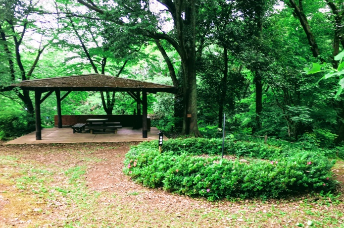 仙台市野草園