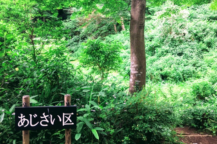 仙台市野草園