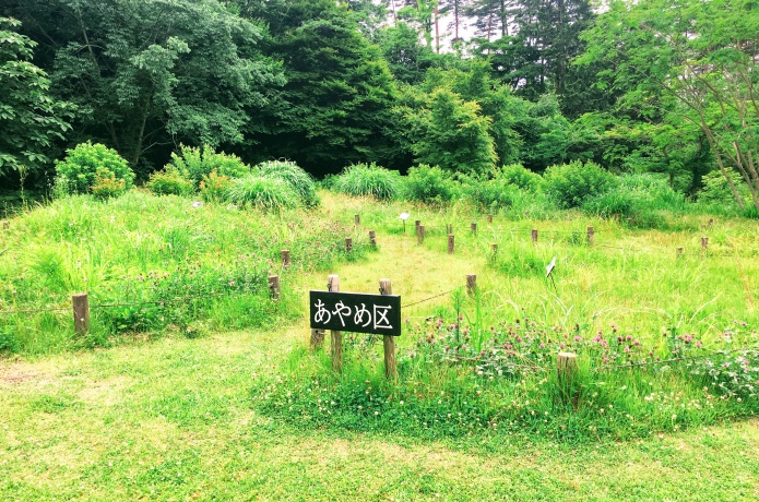 仙台市野草園