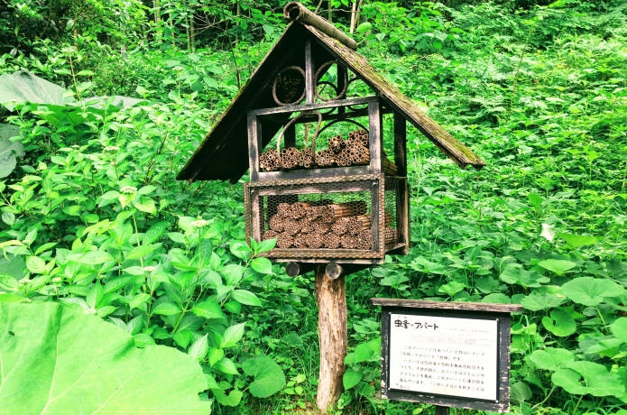 仙台市野草園