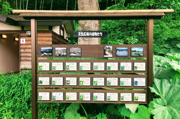 仙台市野草園