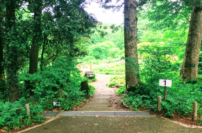 仙台市野草園