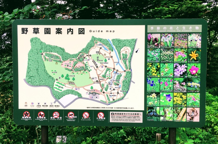 仙台市野草園