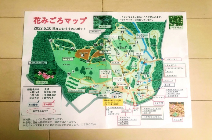 仙台市野草園