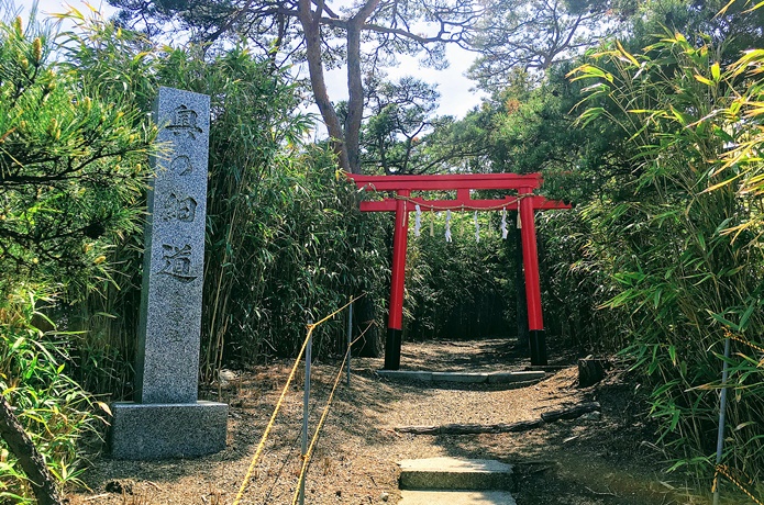 曲木神社　鳥居