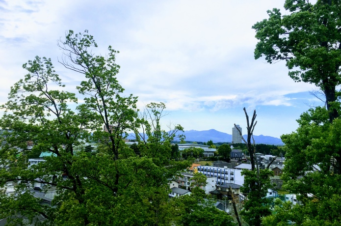 瞑想の松展望台