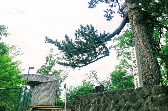 瞑想の松展望台