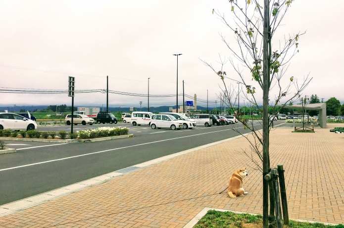 道の駅かくだ