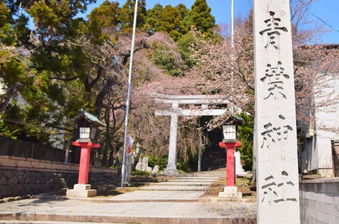青葉神社　鳥居