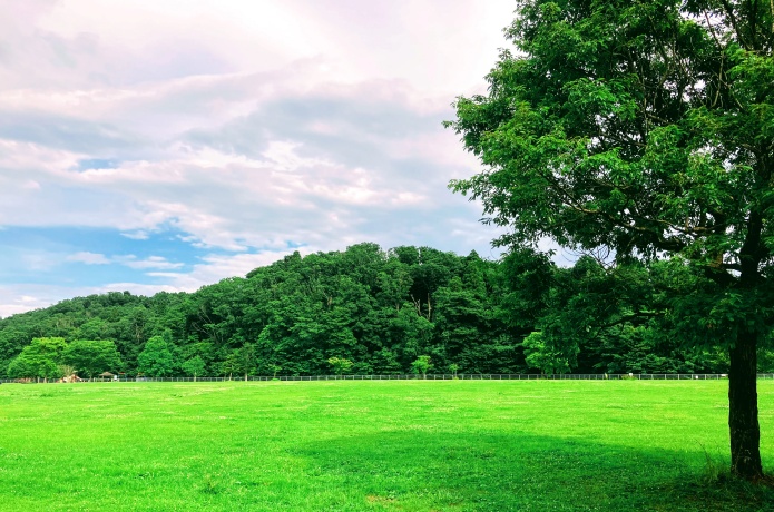 加瀬沼公園