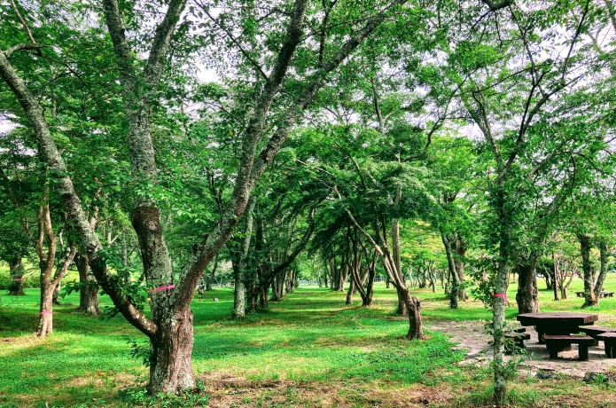 加瀬沼公園