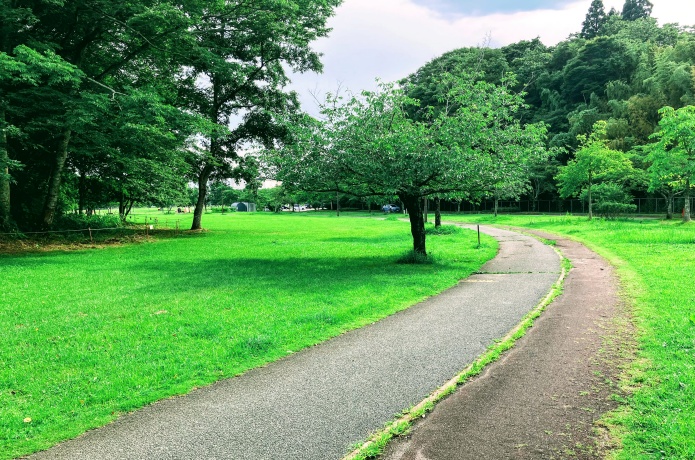加瀬沼公園