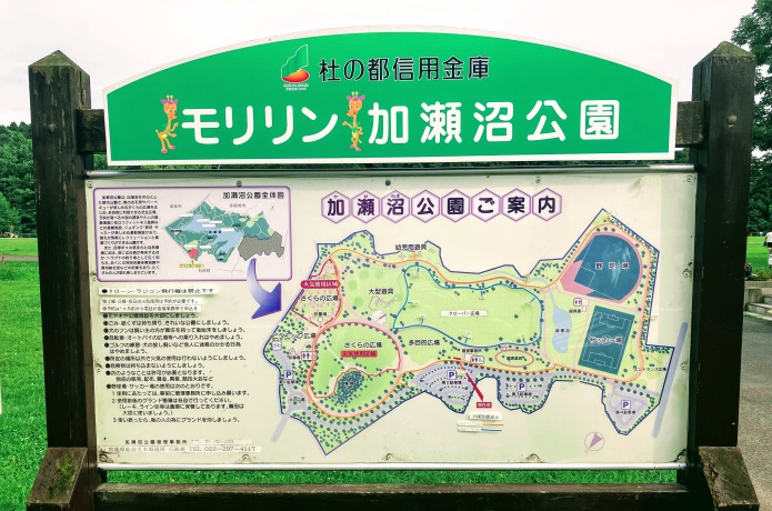 加瀬沼公園