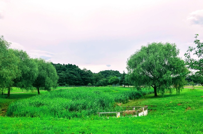 加瀬沼公園