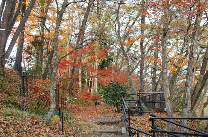 秋保・里センター　紅葉
