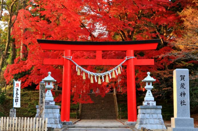 賀茂神社　宮城県