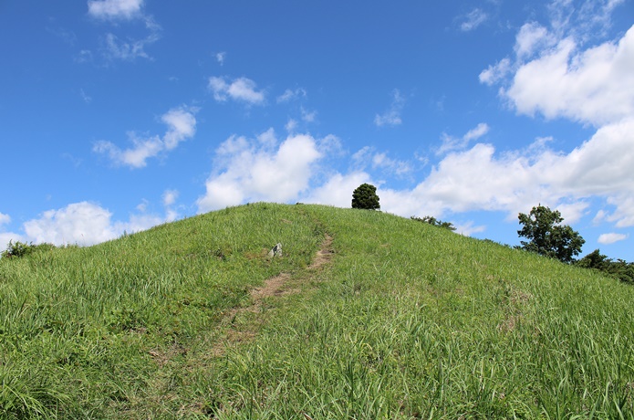 トヤケ森山山頂までの道のり