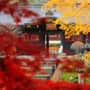 瑞鳳殿と紅葉
