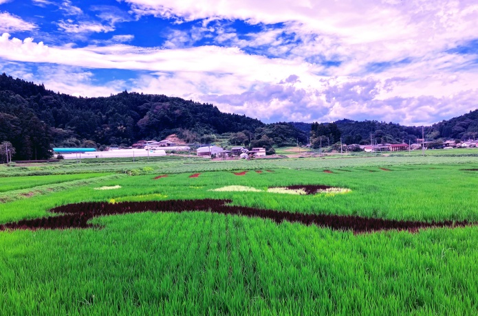 西根田んぼアート