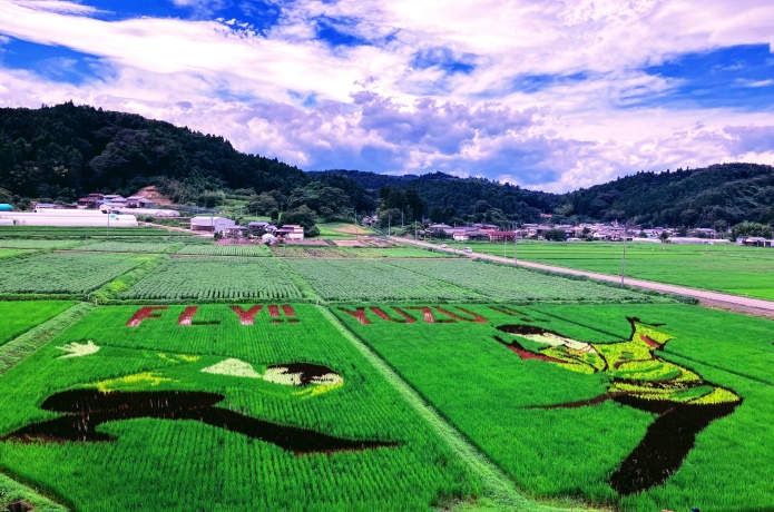 西根田んぼアート