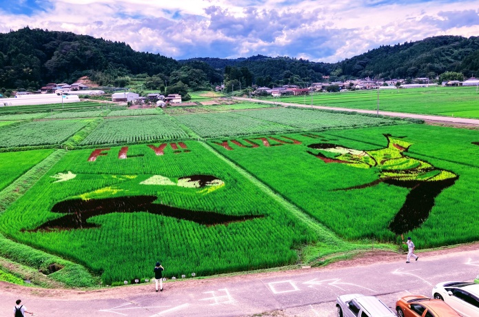 西根田んぼアート