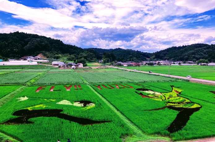 西根田んぼアート