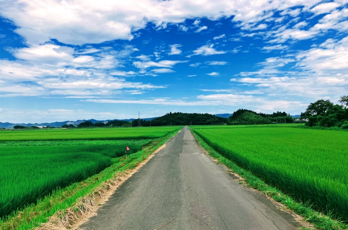 西根田んぼアート