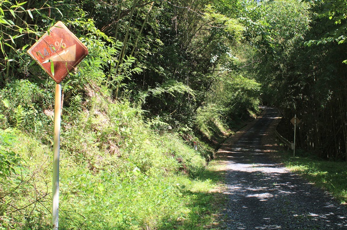 トヤケ森山 登山道.