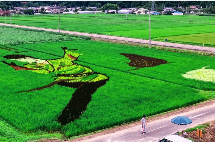 西根田んぼアート