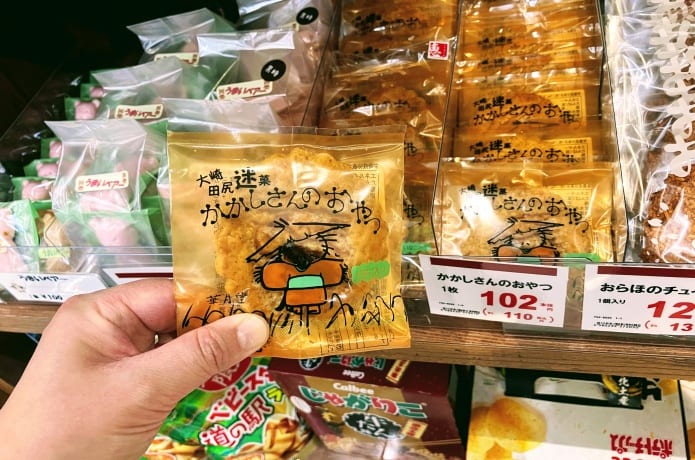 道の駅おおさき