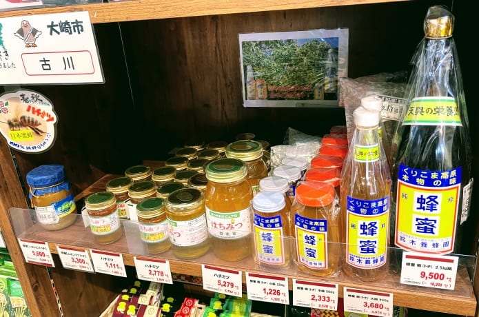 道の駅おおさき