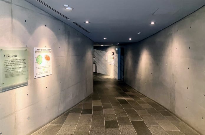 地底の森ミュージアム