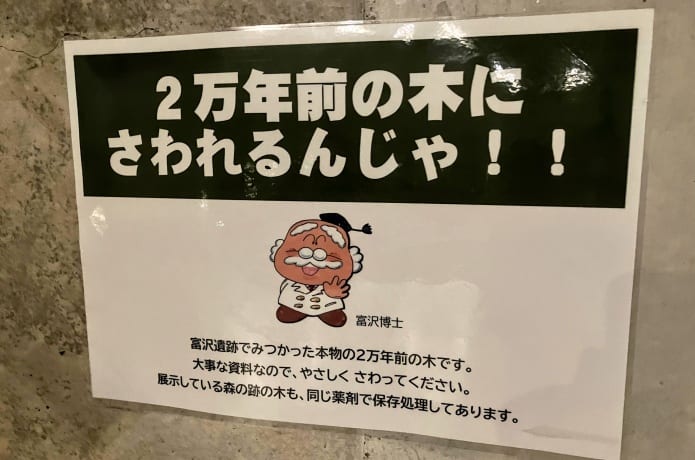 地底の森ミュージアム
