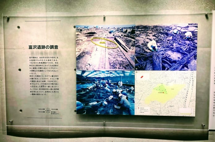 地底の森ミュージアム