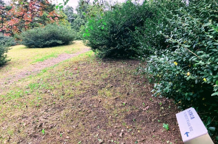地底の森ミュージアム