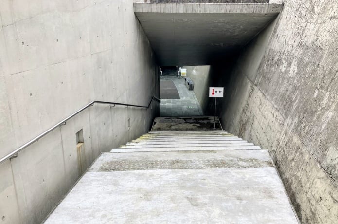 地底の森ミュージアム