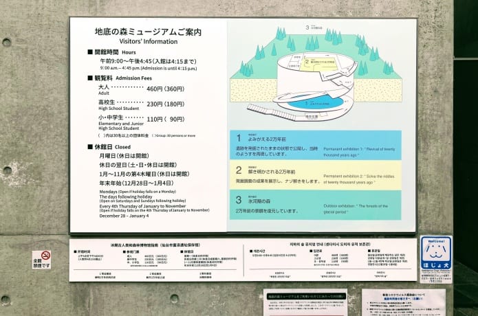地底の森ミュージアム