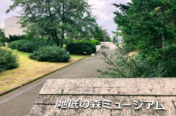 地底の森ミュージアム
