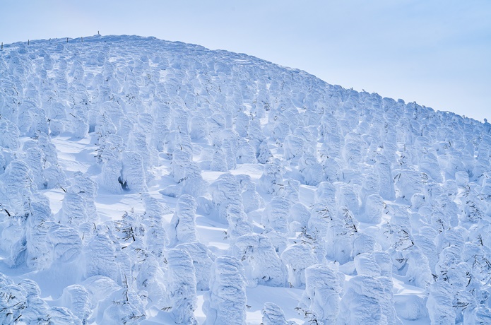 山形蔵王　樹氷