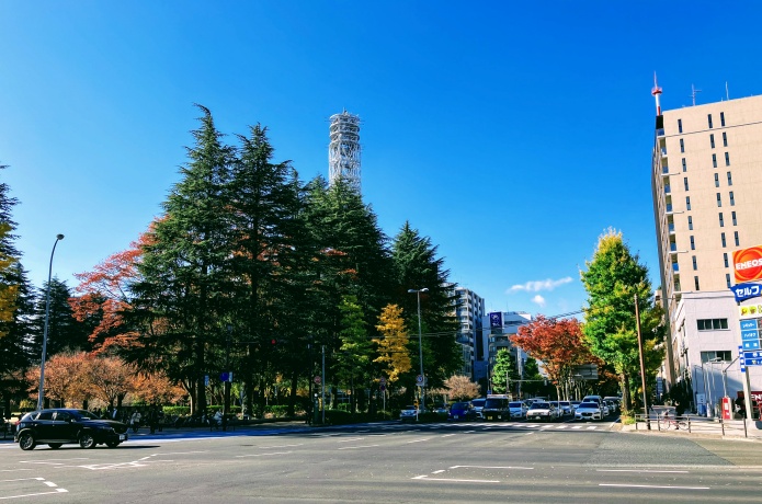 定禅寺通