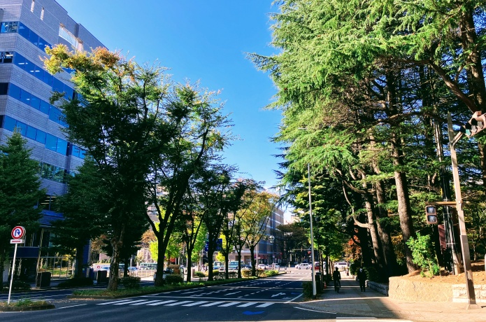 定禅寺通