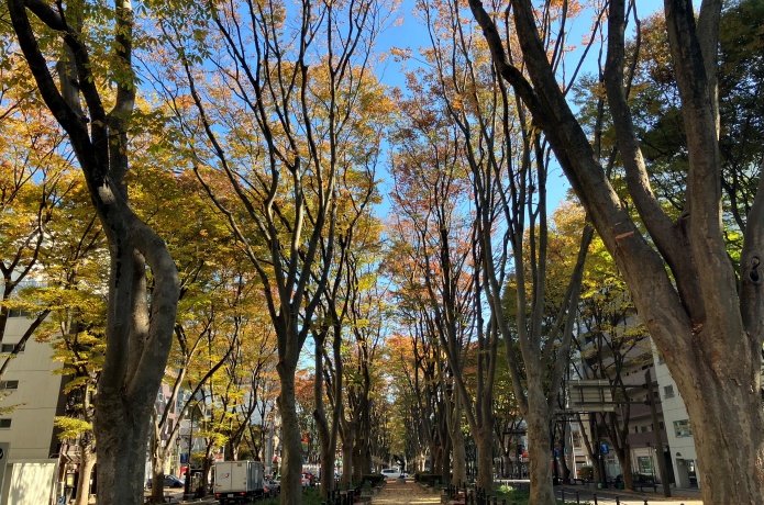 定禅寺通