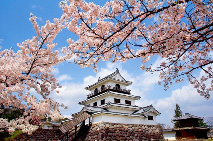 白石城と桜