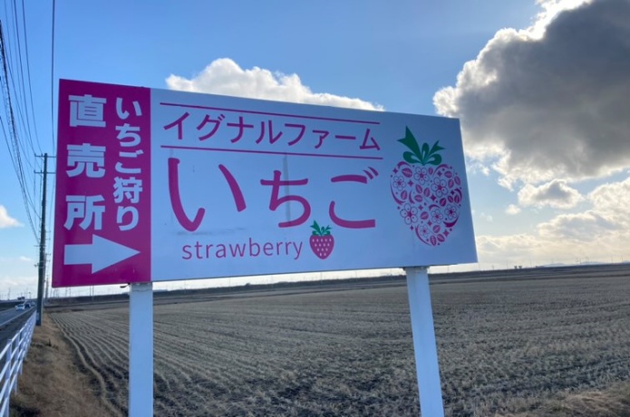 イグナルファーム