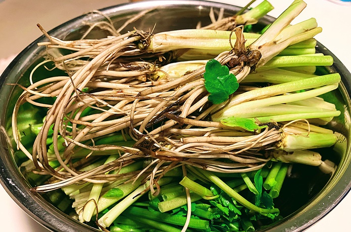 新鮮なせり