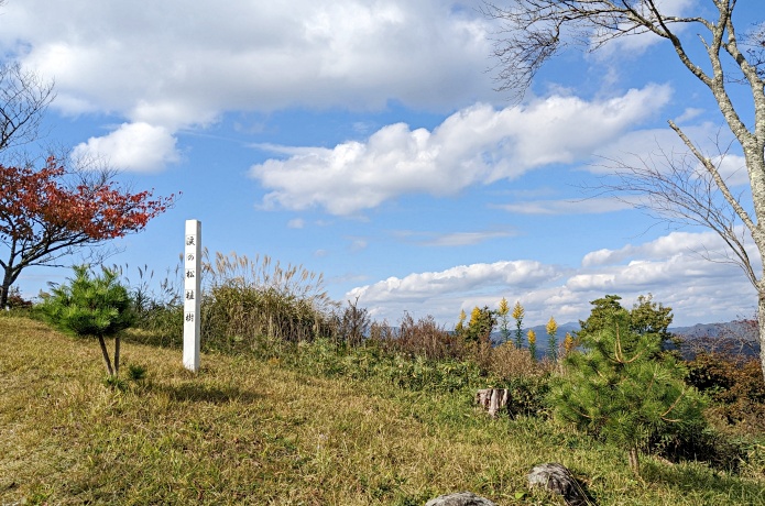 亀山