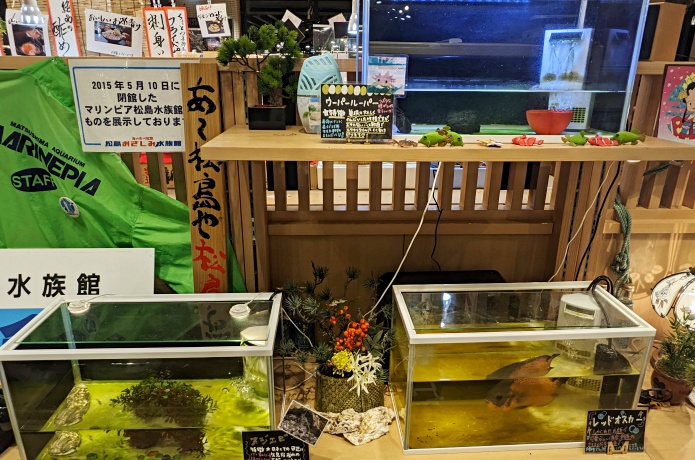 松島おさしみ水族館