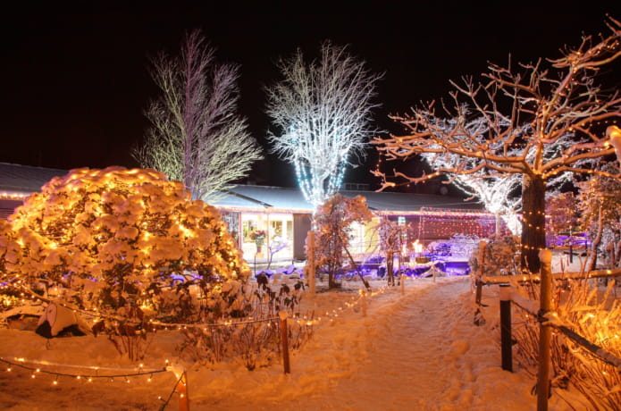 石ノ森章太郎記念館ふるさと記念館で開催されている光のページェント