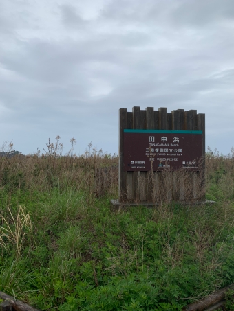 田中浜