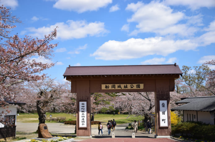 しばたスプリング・フラワー・フェスティバルの会場となっている船岡城址公園